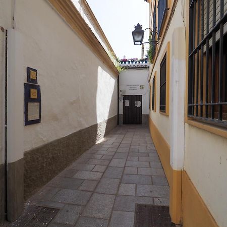 Appartamento Bhost - Tinte Cordova Esterno foto